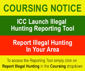 Report Illegal Hunting