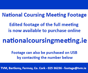 nationalc oursing meeting footage, nationalcoursingmeeting.ie